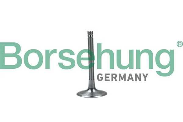 Intake Valve Borsehung B19028