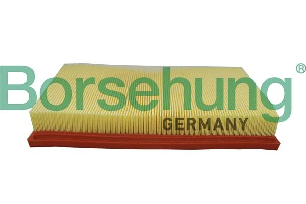 Oro filtras Borsehung B19095