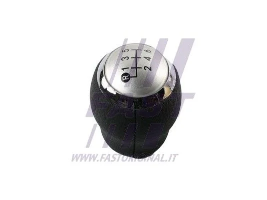 Gear Lever Knob FAST FT09032