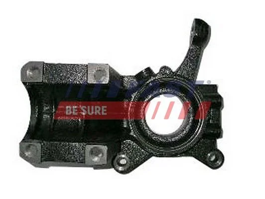 Steering Knuckle, wheel suspension FAST FT13516