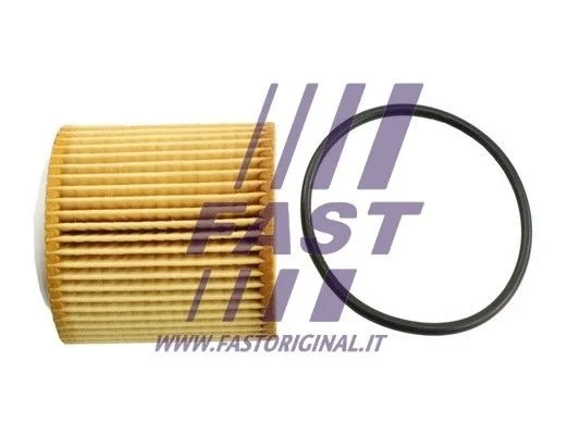Oil Filter FAST FT38100