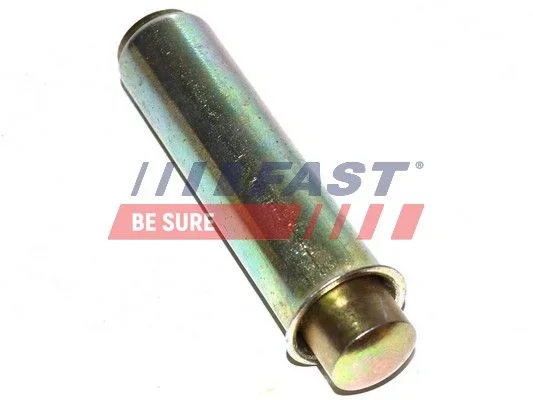 Vibration Damper, timing belt FAST FT44081