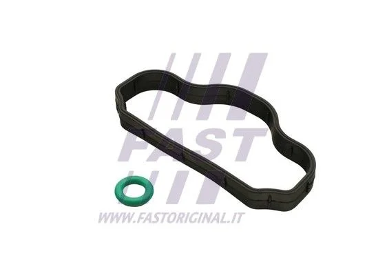 Tesniaci krúžok, skrutka veka hlavy valcov FAST FT48302