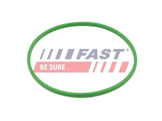 Tesnenie, palivová nádrž FAST FT48503