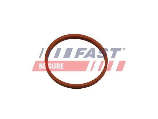 Seal Ring, charge air hose FAST FT48932