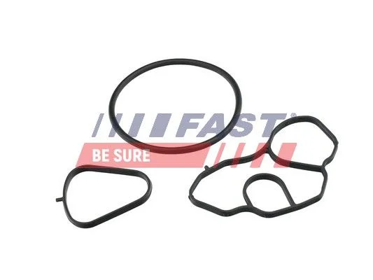 Seal Ring, oil cooler (lubrication) FAST FT48936