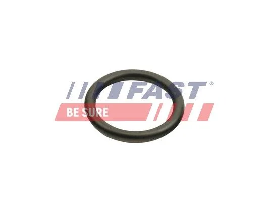 Seal Ring, oil cooler (lubrication) FAST FT48940