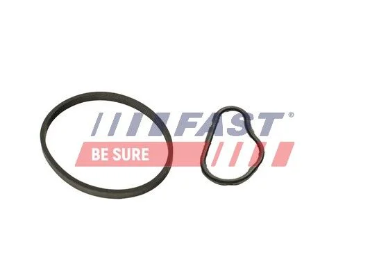 Tesnenie, vákuové čerpadlo FAST FT48943