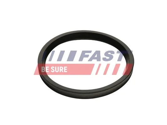 Seal Ring, charge air hose FAST FT48947