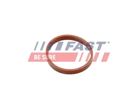 Tesnenie, sacie potrubie FAST FT49418