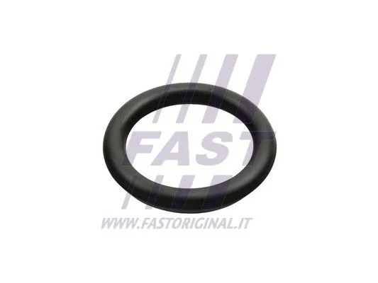 Tesnenie, sacie potrubie FAST FT49426