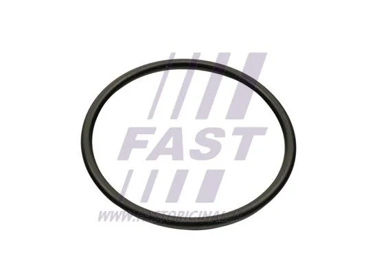 Tesnenie, sacie potrubie FAST FT49460