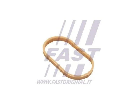 Tesnenie, sacie potrubie FAST FT49461
