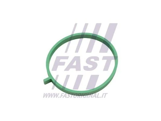 Tesnenie, sacie potrubie FAST FT49472