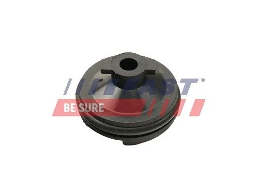 Screw Plug, oil sump FAST FT49501