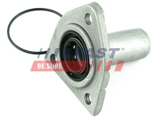 Seal Ring, oil drain plug FAST FT49840