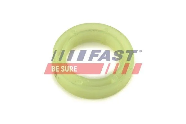 Seal Ring, injector shaft FAST FT49844