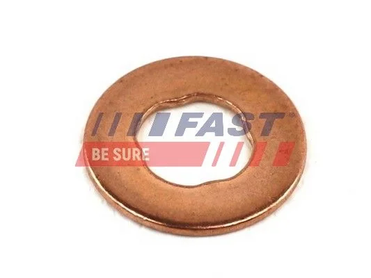Seal Ring, nozzle holder FAST FT49845