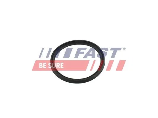 Seal Ring, charger FAST FT49854