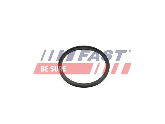Seal Ring, charge air hose FAST FT49857