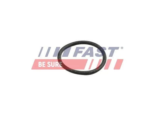 Seal Ring, coolant pipe FAST FT49918