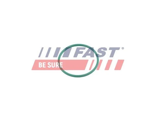 Tesniaci krúžok, hadica plniaceho vzduchu FAST FT49921