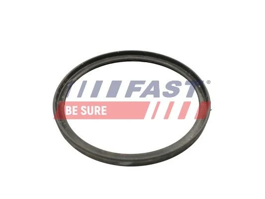 Seal Ring, charge air hose FAST FT49922