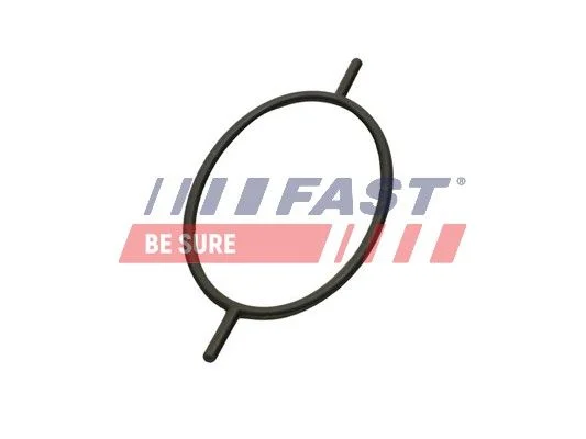 Tesniaci krúžok, skrutka uzáveru chladiča FAST FT49923