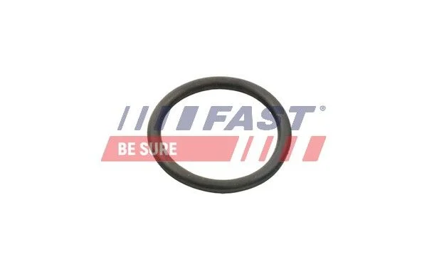Tesnenie, potrubie chladiacej kvapaliny FAST FT49934