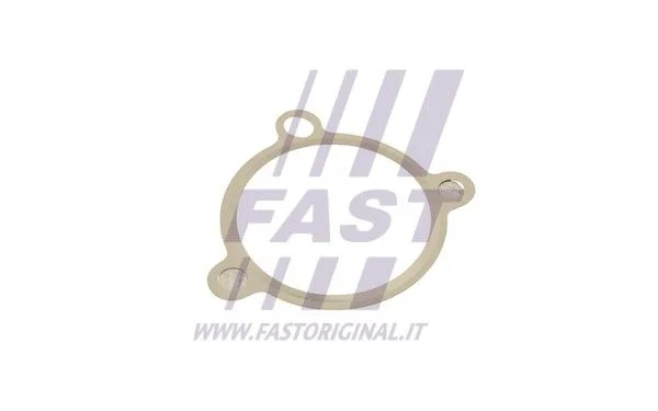 Tesnenie, EGR ventil FAST FT50605