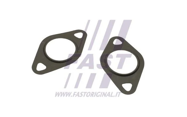 Gasket, EGR valve FAST FT50608