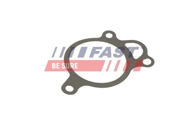 Gasket, EGR valve FAST FT50619