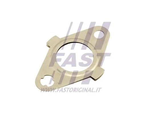 Tesnenie, EGR ventil FAST FT50627