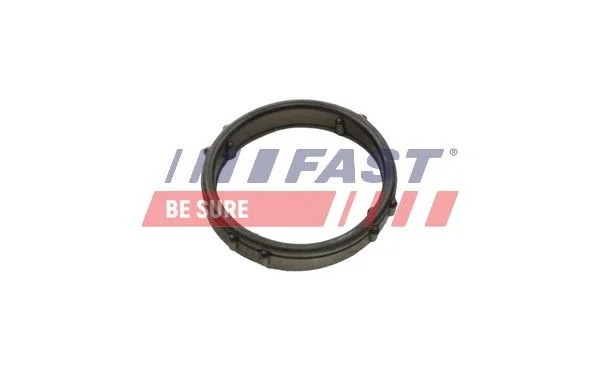 Gasket, water pump FAST FT57406