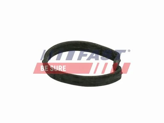 Seal, thermostat FAST FT58301