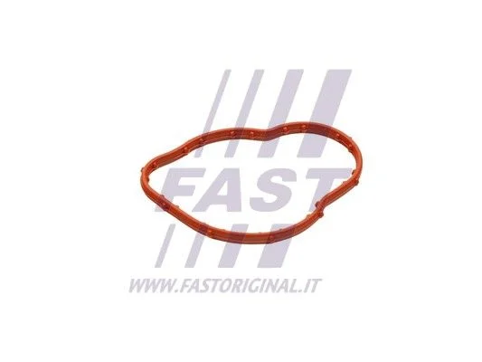 Tesnenie, termostat FAST FT58305
