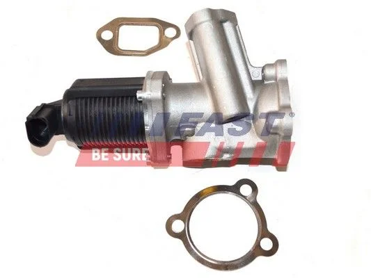 EGR ventil FAST FT60236