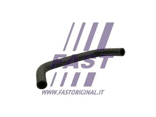 Hose, crankcase ventilation FAST FT65901