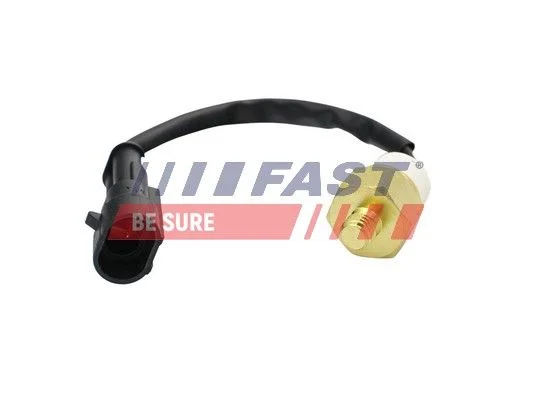 Teplotný spínač, kontrolka chladiacej kvapaliny FAST FT80157