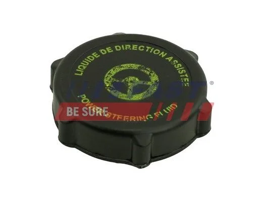 Seal Ring, blanking plug (power steering pump) FAST FT94749