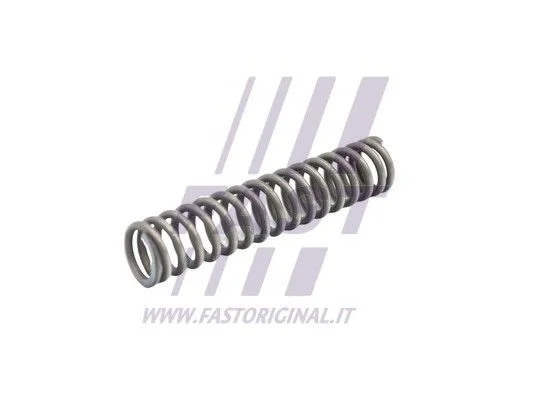 Spring, clutch pedal FAST FT96504