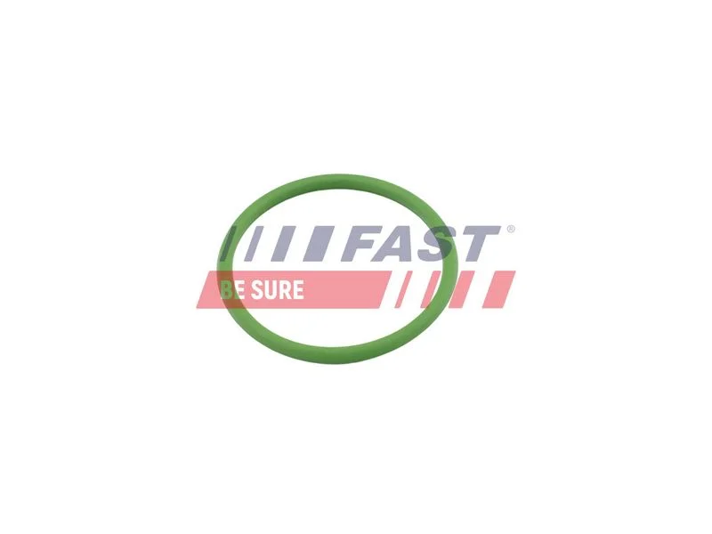 Gasket, charger Fast FT48803