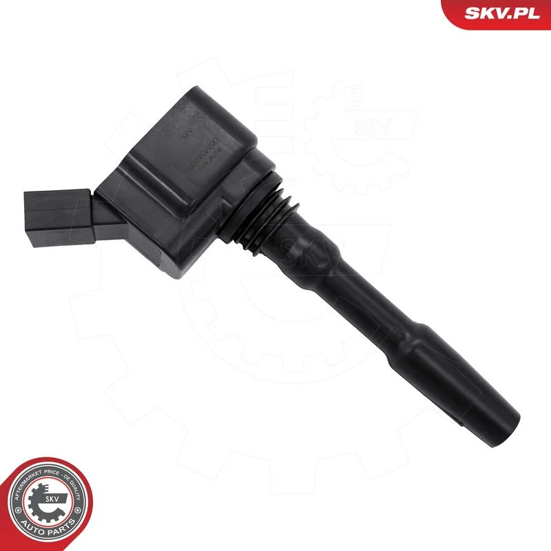 Ignition Coil ESEN SKV 03SKV290