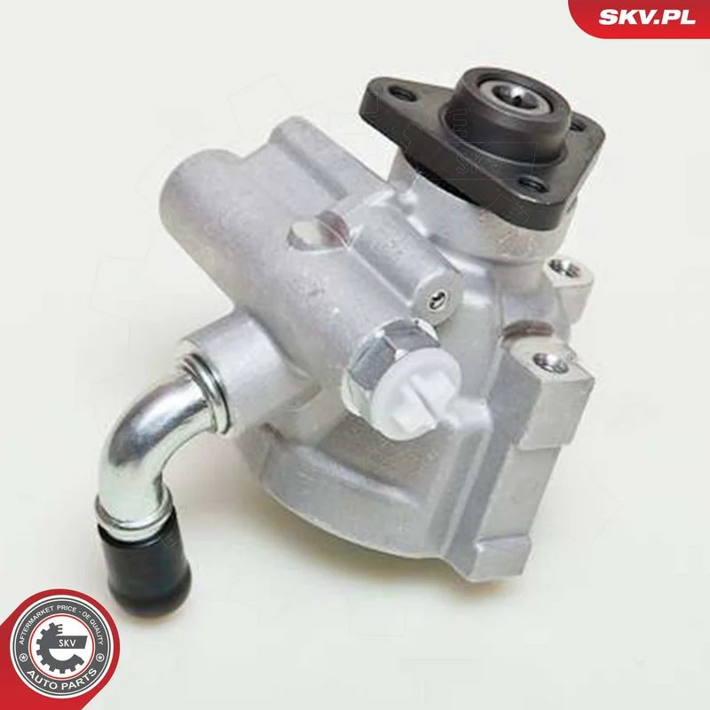 Hydraulic Pump, steering ESEN SKV 10SKV061