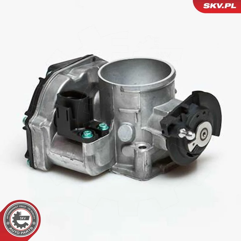 Throttle Body ESEN SKV 12SKV023