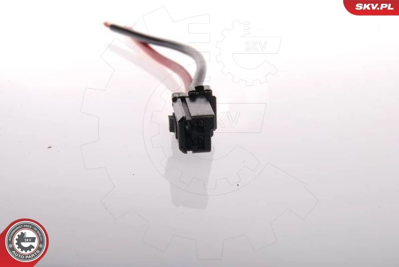 Fuel Pump ESEN SKV 02SKV205
