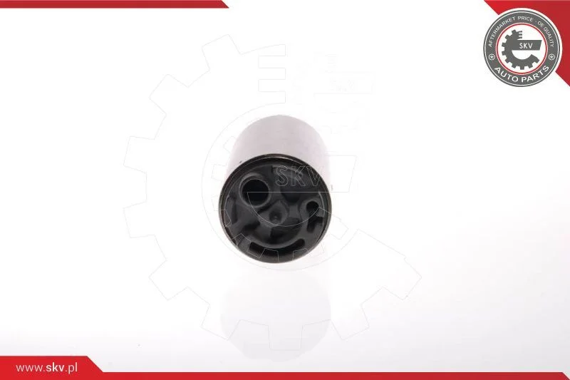 Fuel Pump ESEN SKV 02SKV234