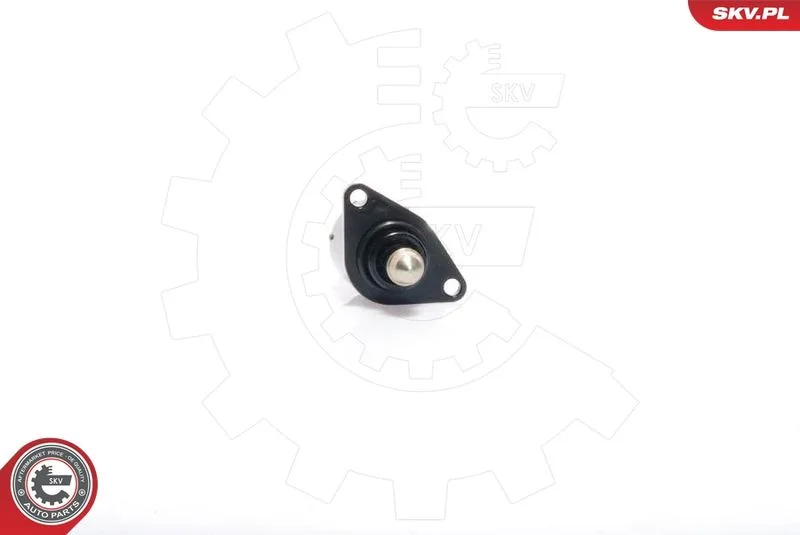 Idle Control Valve, air supply ESEN SKV 08SKV012