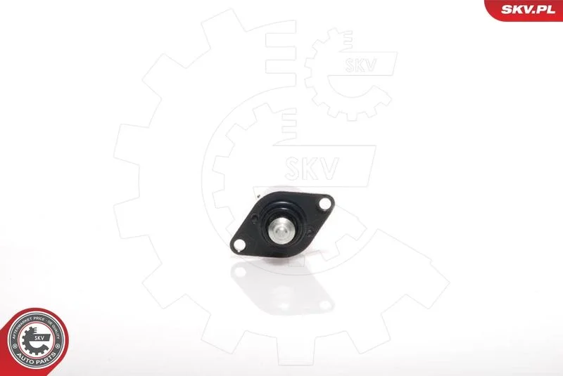 Idle Control Valve, air supply ESEN SKV 08SKV020