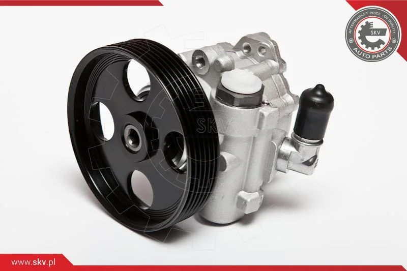 Hydraulic Pump, steering ESEN SKV 10SKV004